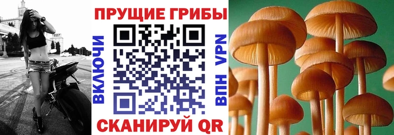 как найти закладки  Ува  Галлюциногенные грибы MAGIC MUSHROOMS 